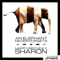 an elephant never forgets happy birthday