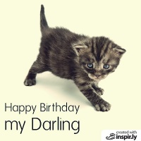 Happy Birthday my darling cat