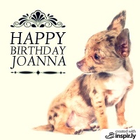 Happy Birthday Baby Chihuahua